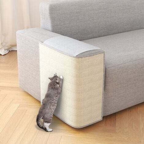 Transform Your Home into a Cat-Friendly Sanctuary
